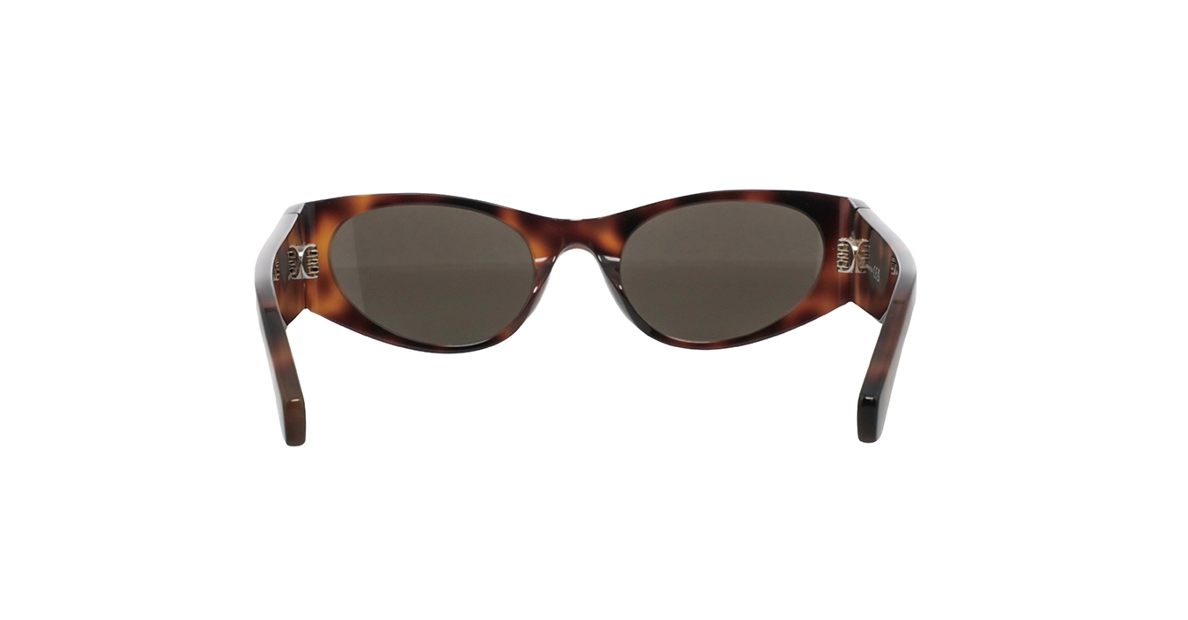 Loewe LW40196U 52E s53