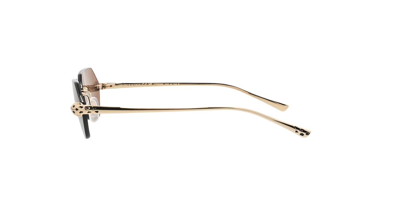 Cartier CT0636S 002 s55
