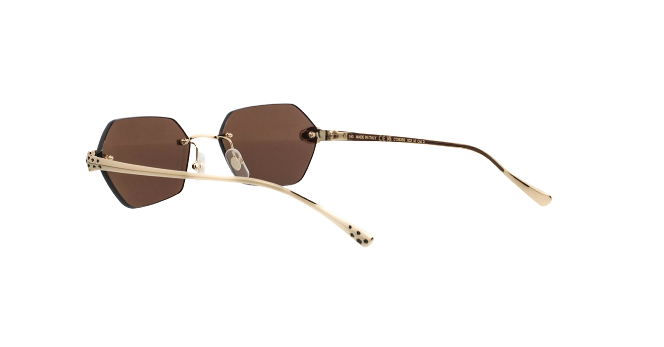 Cartier CT0636S 002 s55