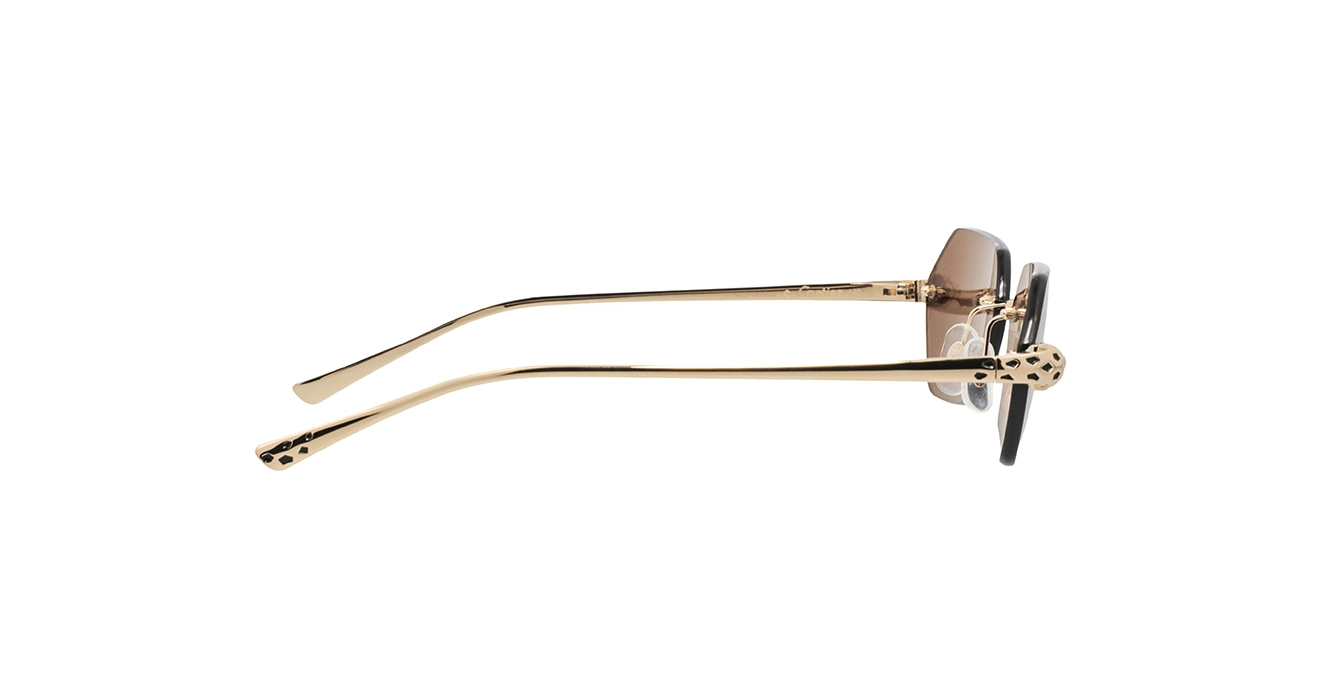 Cartier CT0636S 002 s55