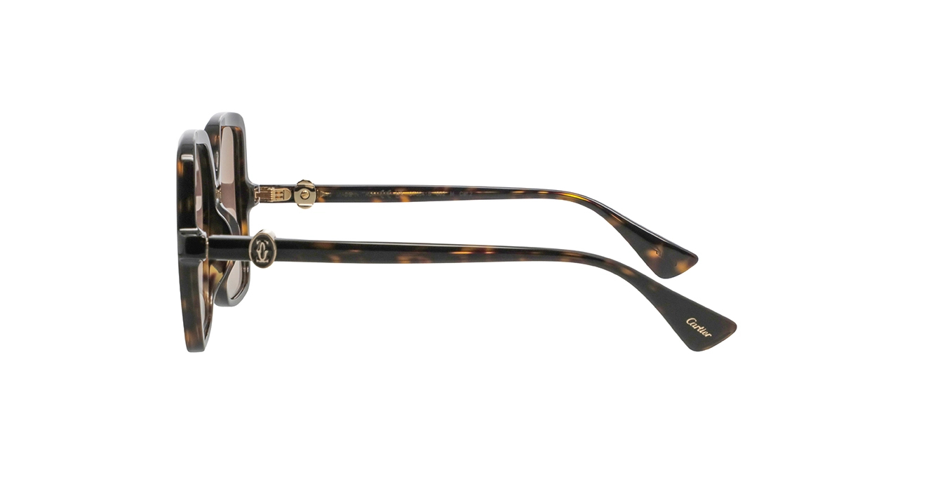 Cartier CT0641S 002 s58