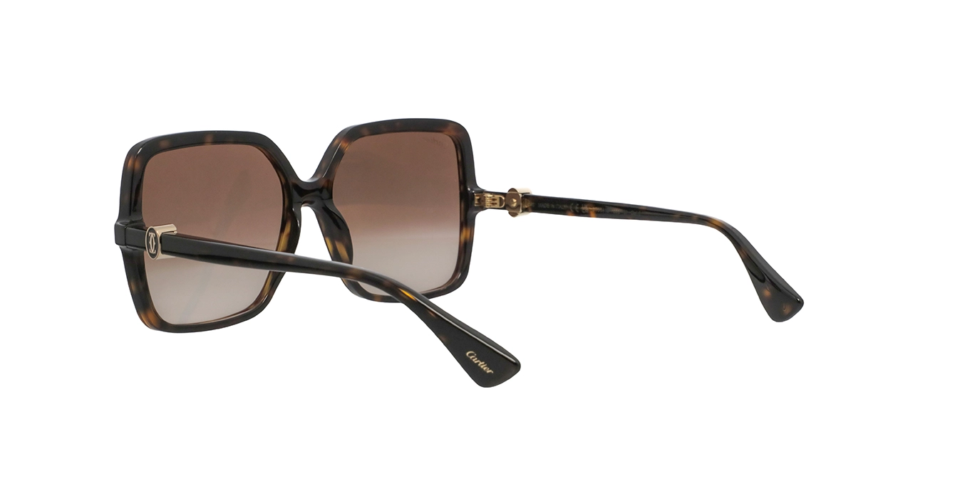 Cartier CT0641S 002 s58