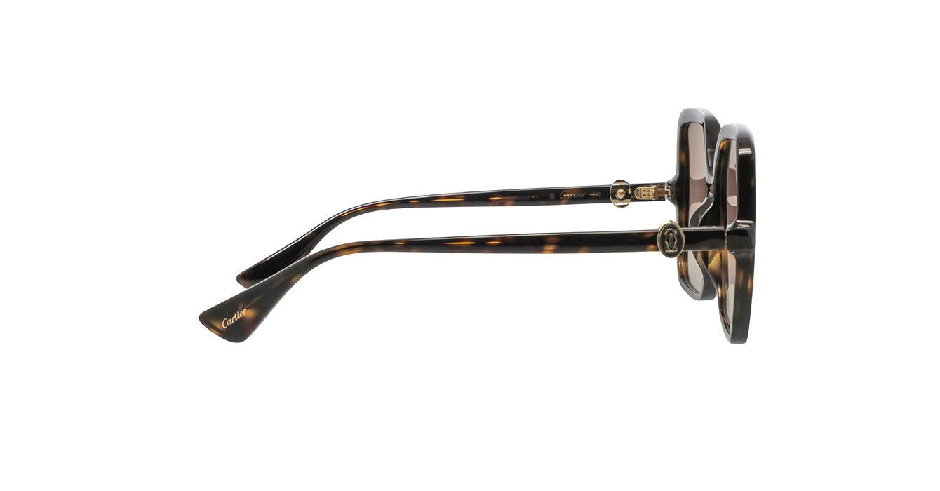 Cartier CT0641S 002 s58