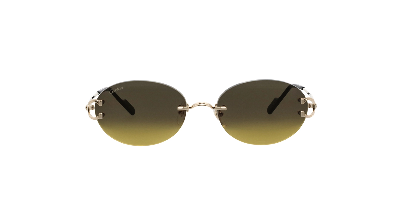 Cartier CT0551S 009 s55
