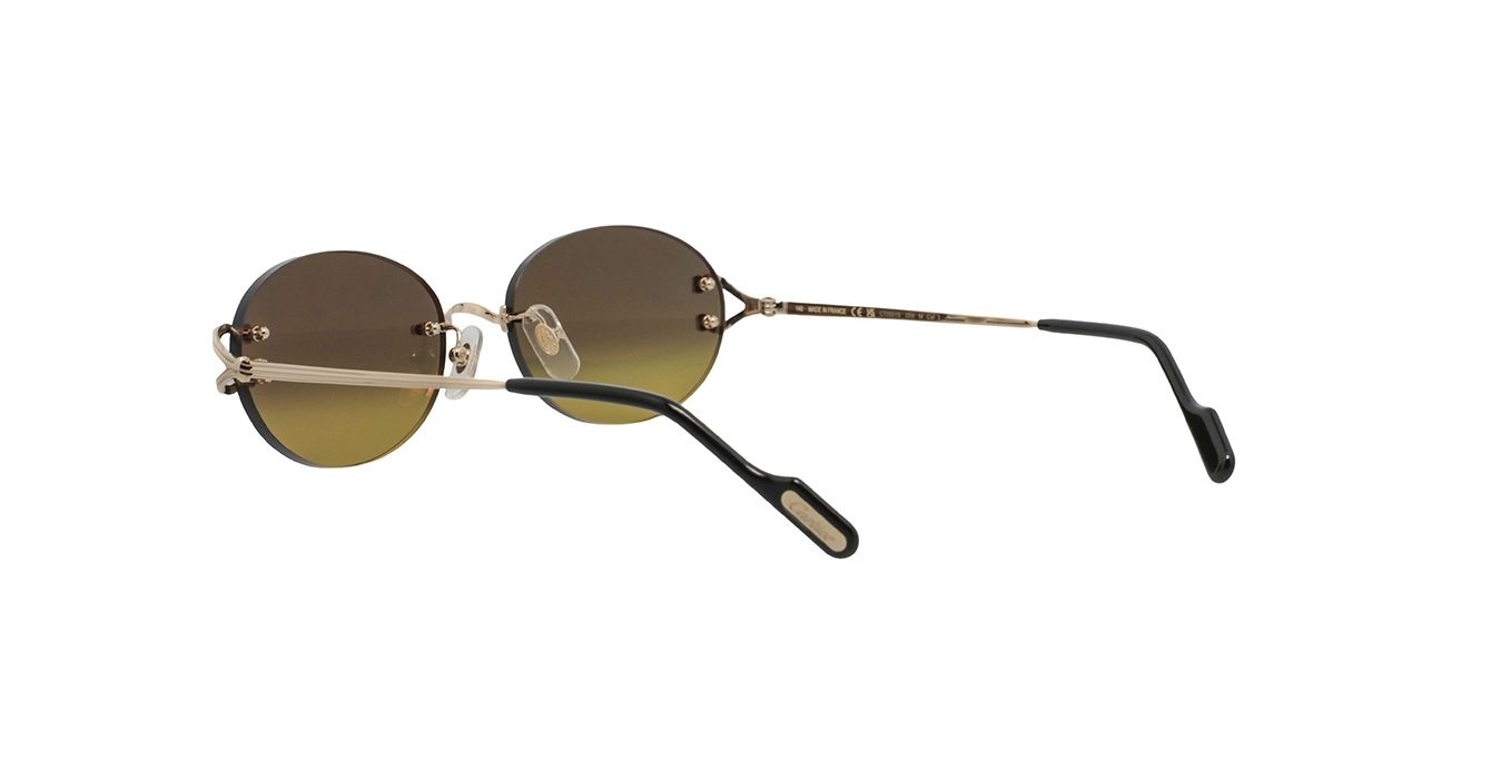 Cartier CT0551S 009 s55
