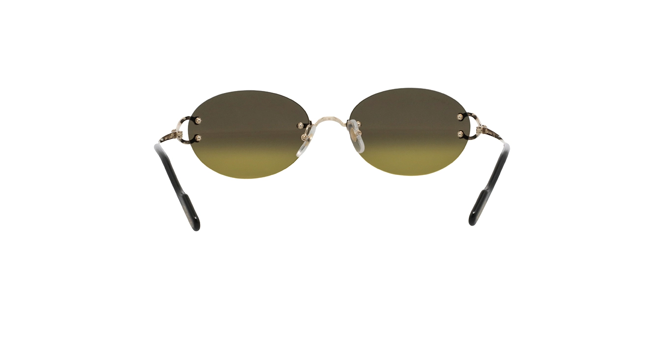 Cartier CT0551S 009 s55