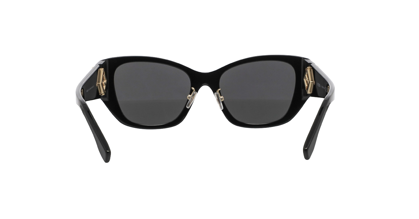 Fendi FE40220F 01A s56