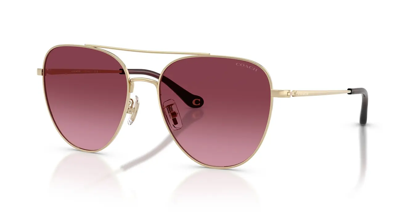 Coach HC7182 9005/8H s56
