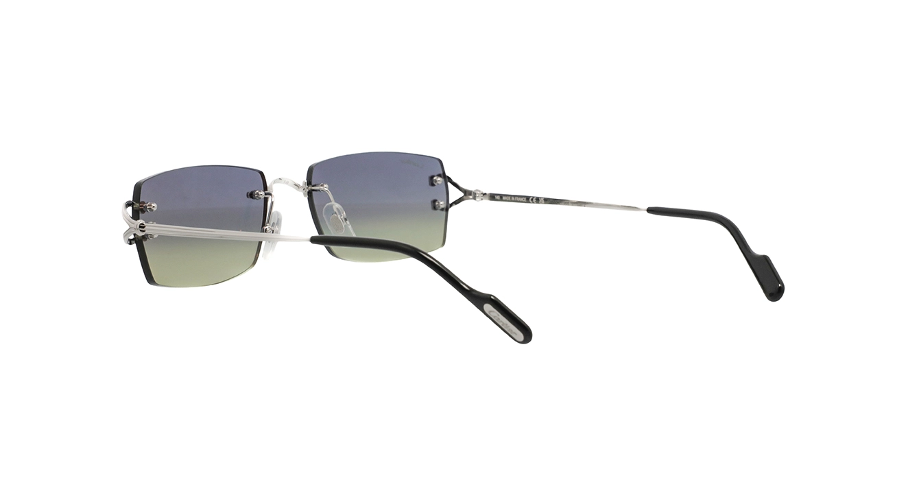 Cartier CT0550S 008 s56