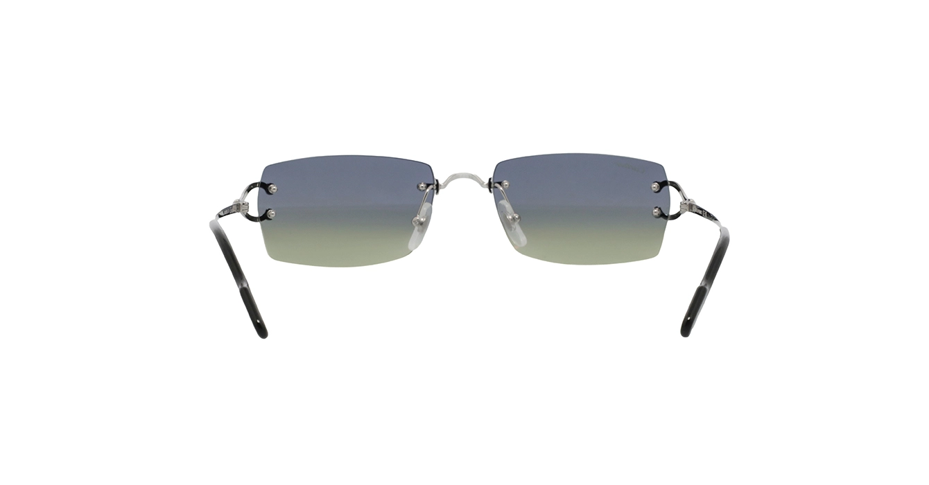 Cartier CT0550S 008 s56