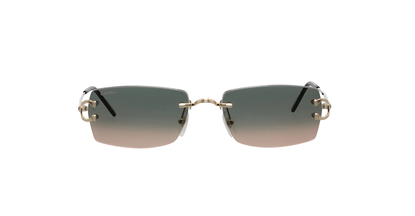 Cartier CT0550S 009 s56