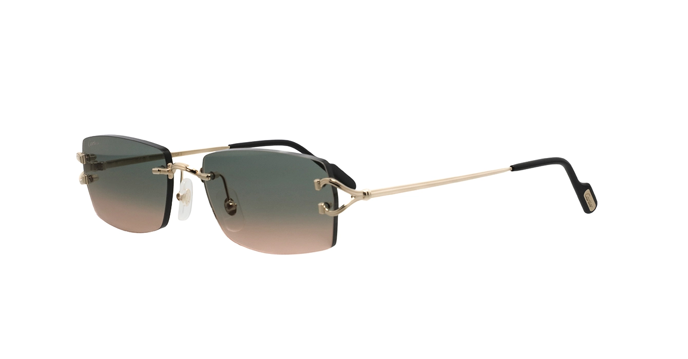 Cartier CT0550S 009 s56