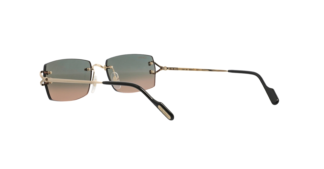 Cartier CT0550S 009 s56