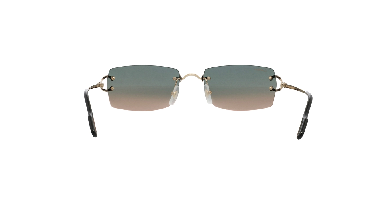 Cartier CT0550S 009 s56