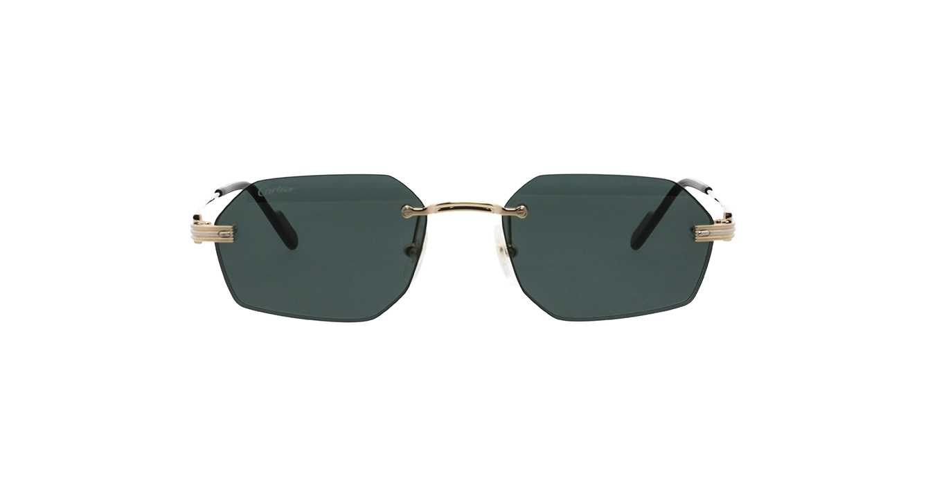 Cartier CT0616S 003 s54