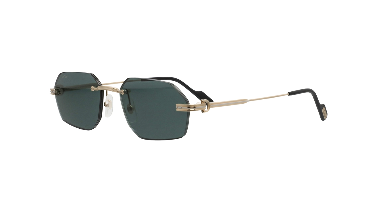 Cartier CT0616S 003 s54