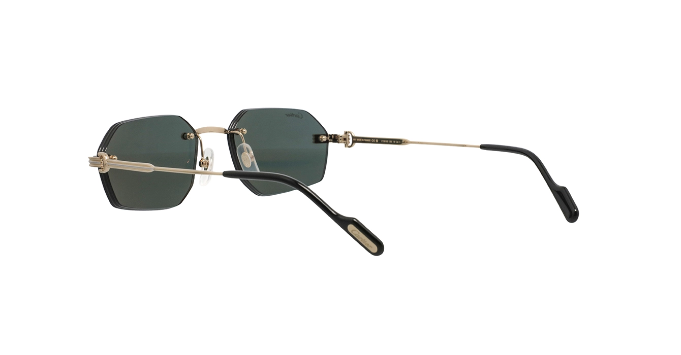 Cartier CT0616S 003 s54