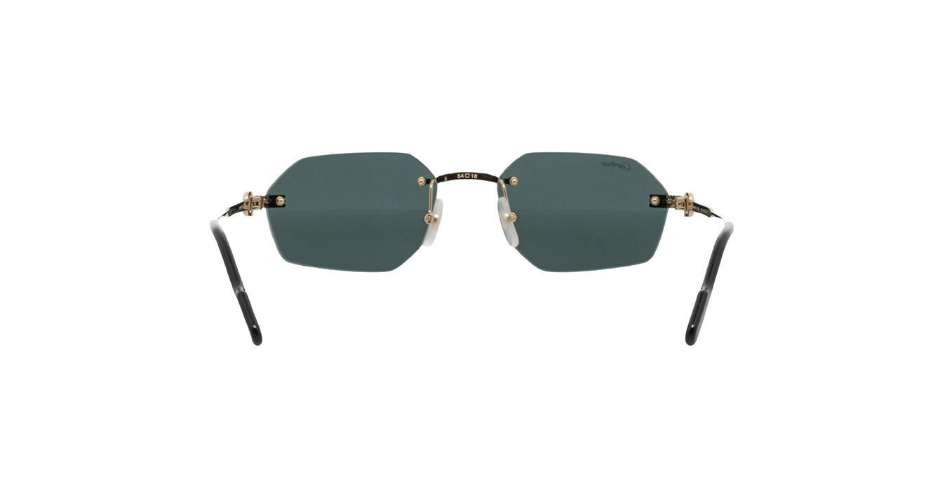 Cartier CT0616S 003 s54