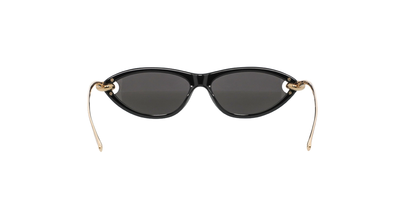 Bottega Veneta BV1390S 001 s56
