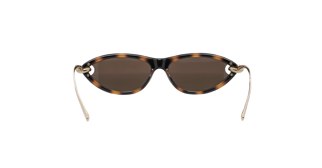 Bottega Veneta BV1390S 002 s56