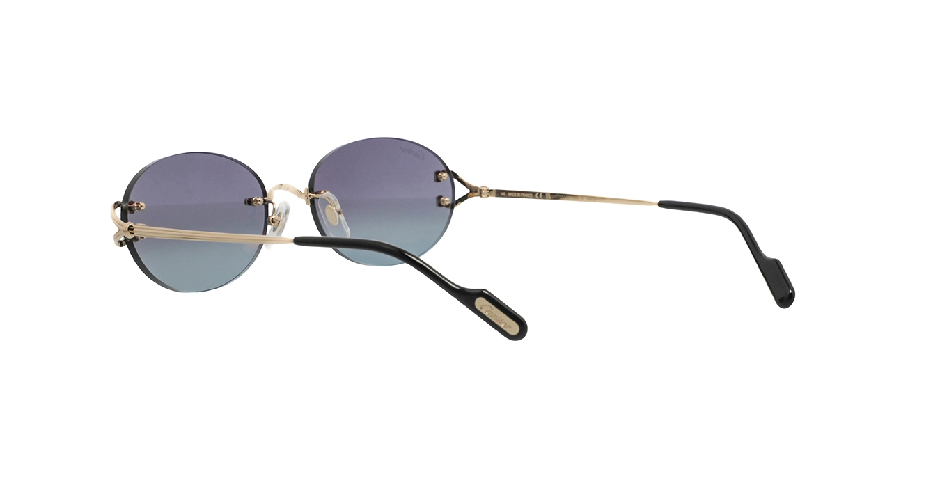 Cartier CT0551S 008 s55
