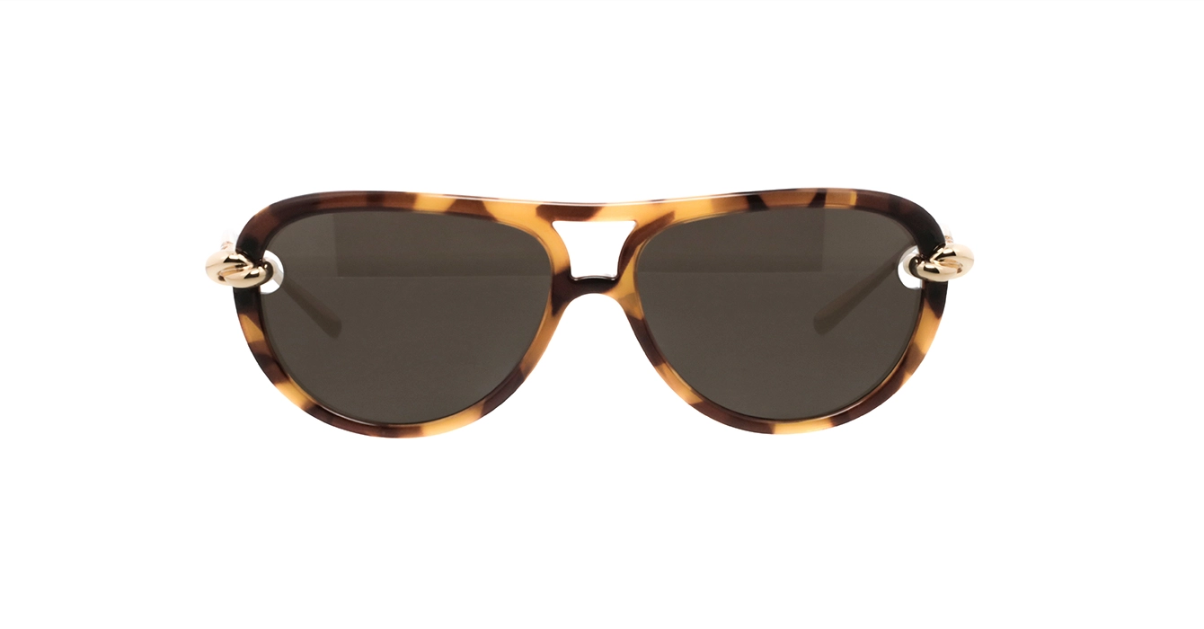 Bottega Veneta BV1418S 007 s58