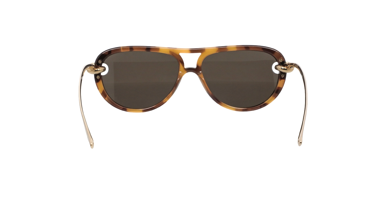 Bottega Veneta BV1418S 007 s58