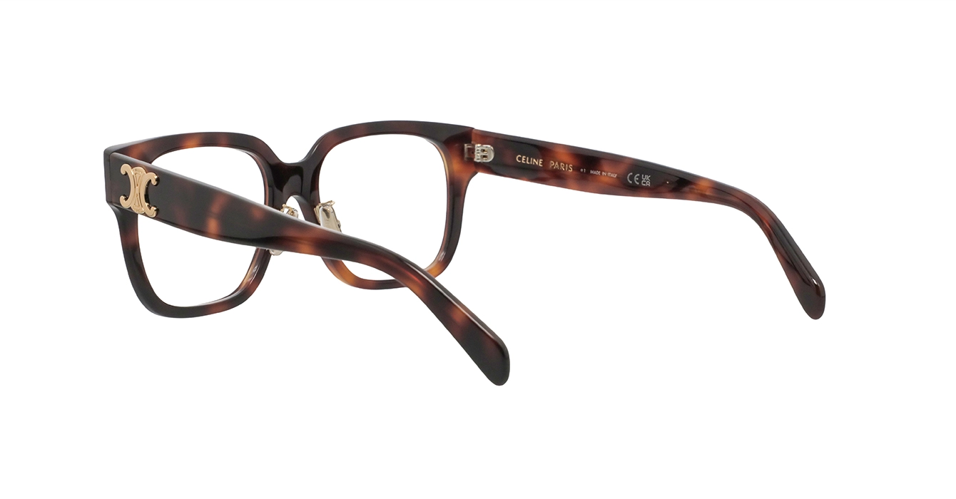Celine CL50172F 053 s54
