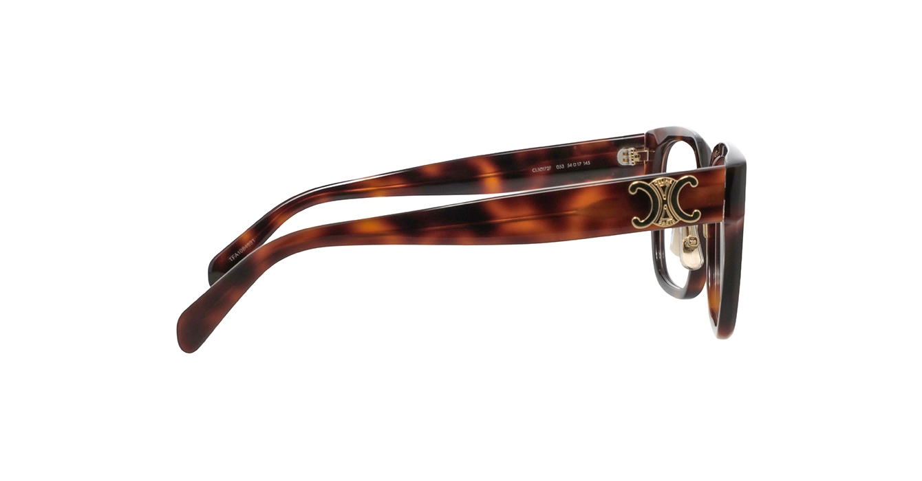 Celine CL50172F 053 s54