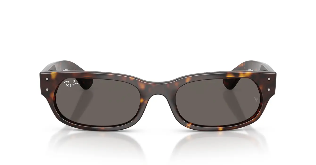 Ray-Ban RB2236F 902/B1 s54