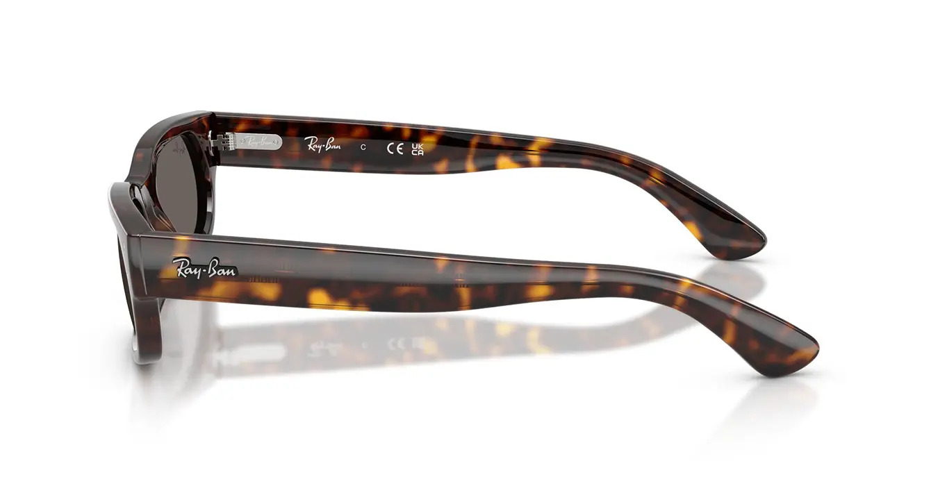 Ray-Ban RB2236F 902/B1 s54