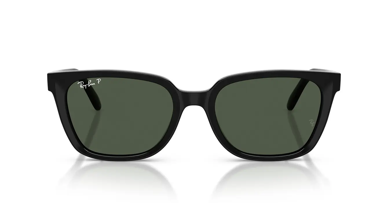 Ray-Ban RB2243D 901/9A s55