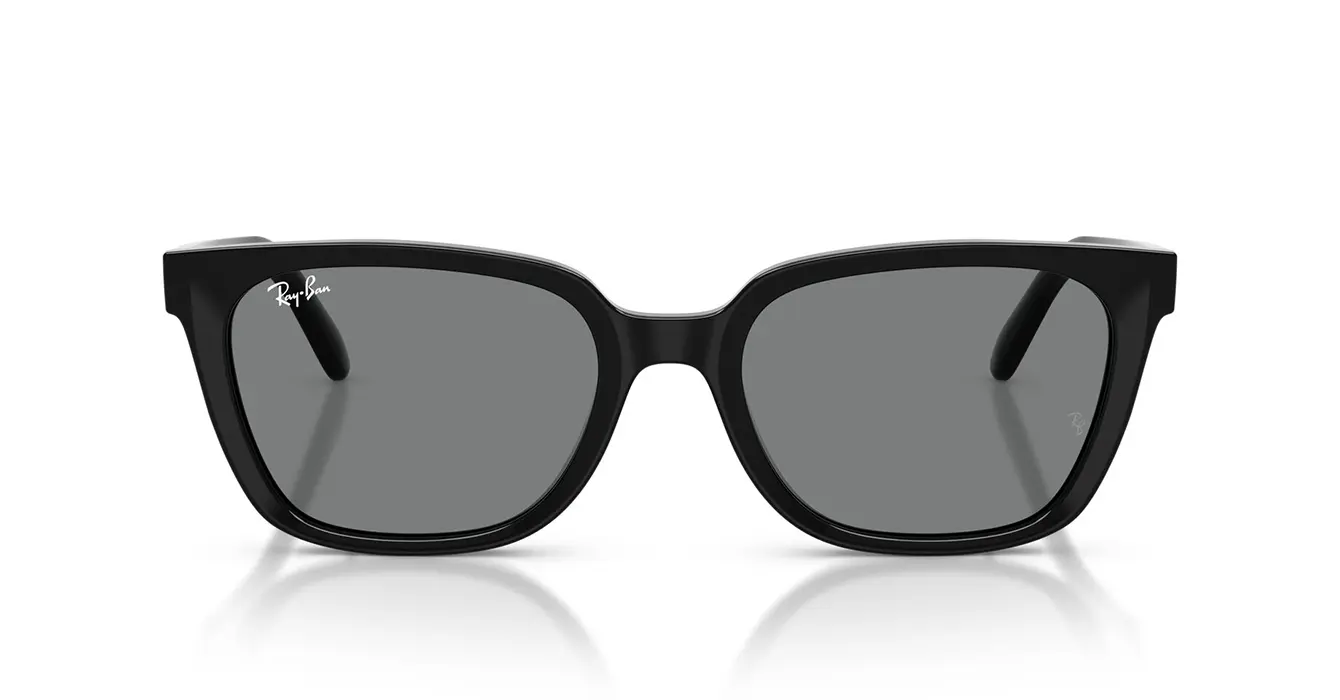 Ray-Ban RB2243D 901/87 s55