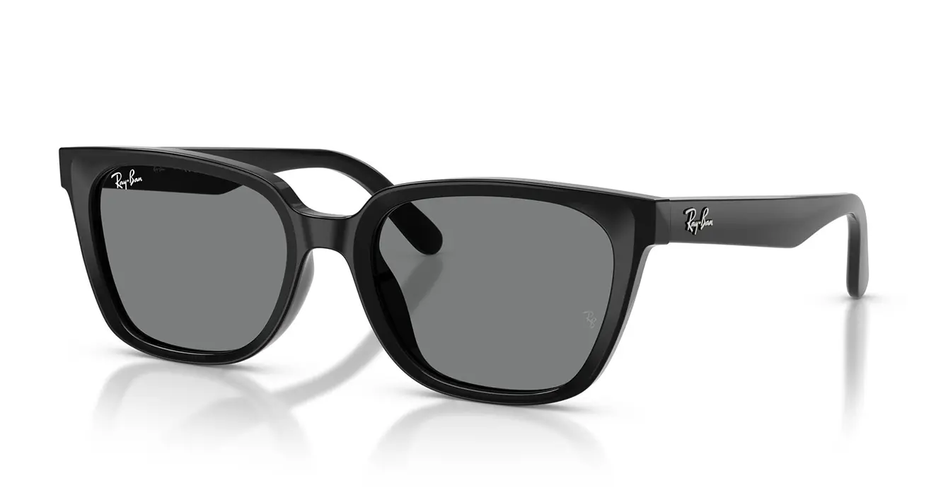 Ray-Ban RB2243D 901/87 s55