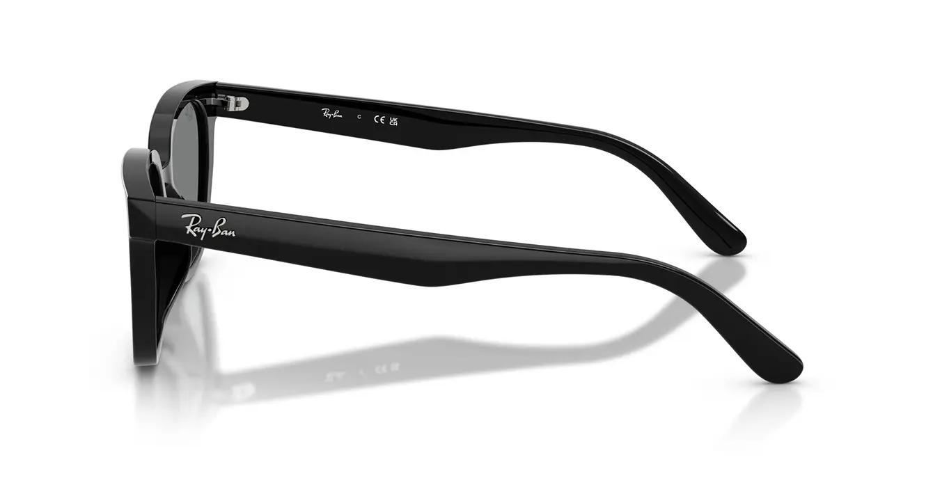 Ray-Ban RB2243D 901/87 s55