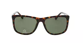 cK Calvin Klein 3160S col 004