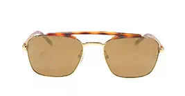 cK Calvin Klein 1221S col 753