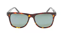 cK Calvin Klein 4329SA col 214