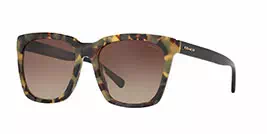 Coach HC8201D col 5093/13 s57