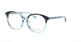 Bottega Veneta BV0176OA col 004 s53