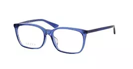 Gucci GG0333OA col 003 s55