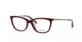 Coach HC6124F col 5509 s53