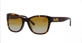 Coach HC8243F col 5417/T5 s55