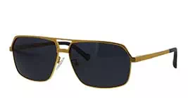 Franc Nobel 8549 C5 s63 BURGESS