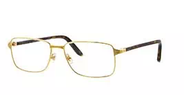 Cartier CT0040O 003