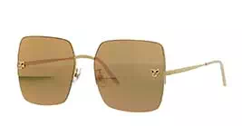 Cartier CT0121SA 001 s60