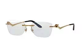 Cartier CT0120OA 001 s54