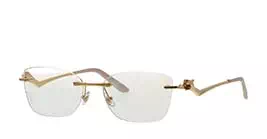 Cartier CT0120OA 002 s54