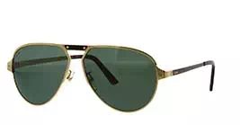 Cartier CT0101SA 003 s61
