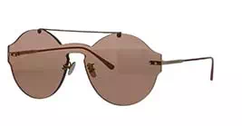 Bottega Veneta BV0207S 004 s99